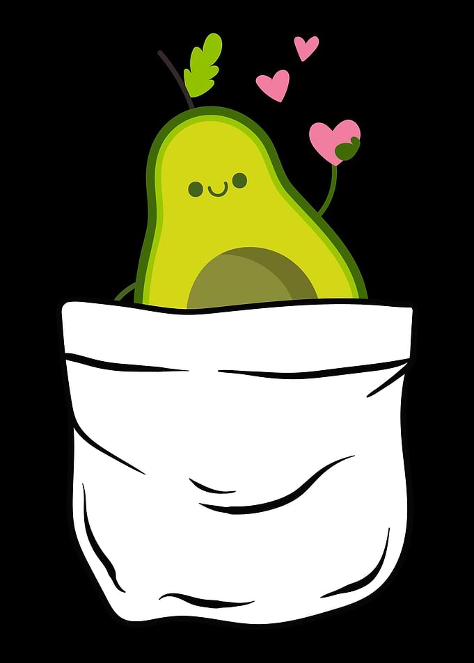avocado
