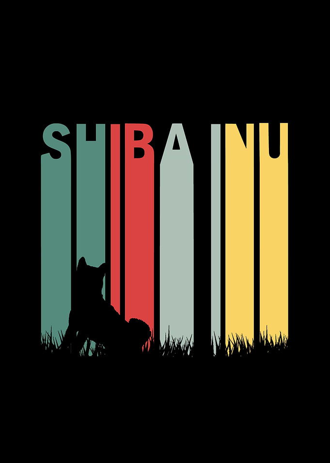 Shiba inu