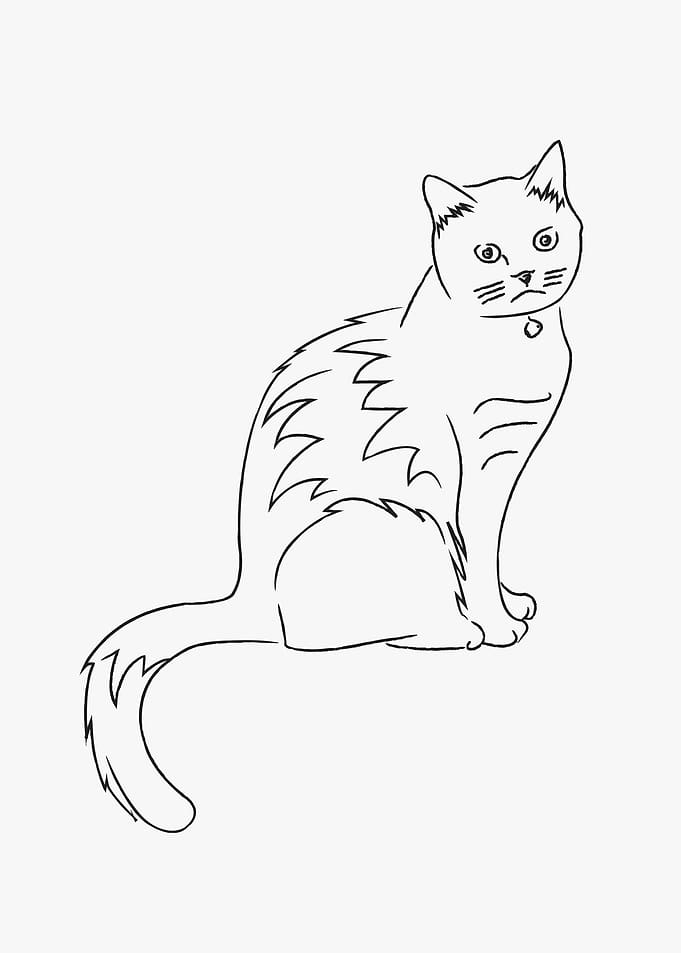 Cat lineart