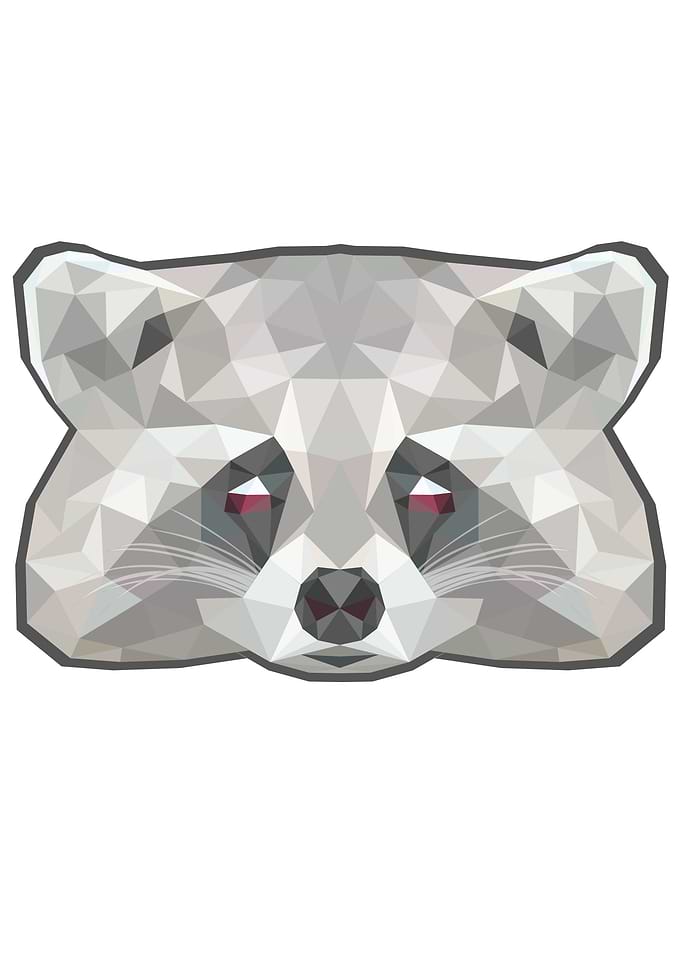 Raccoon poly