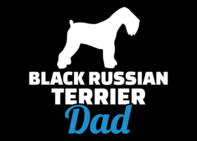 Black Russian Terrier