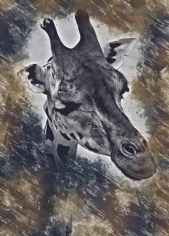 giraffe poster