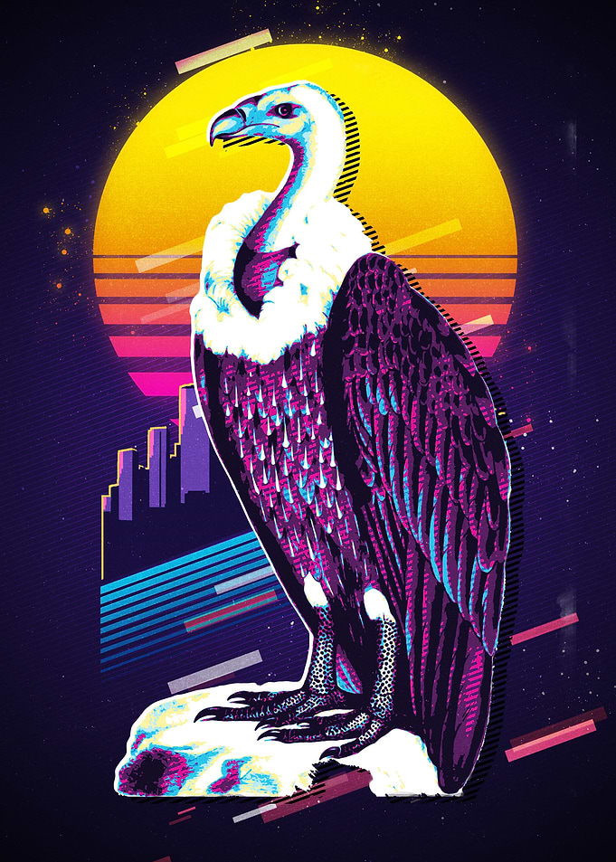 Whiterumped vulture