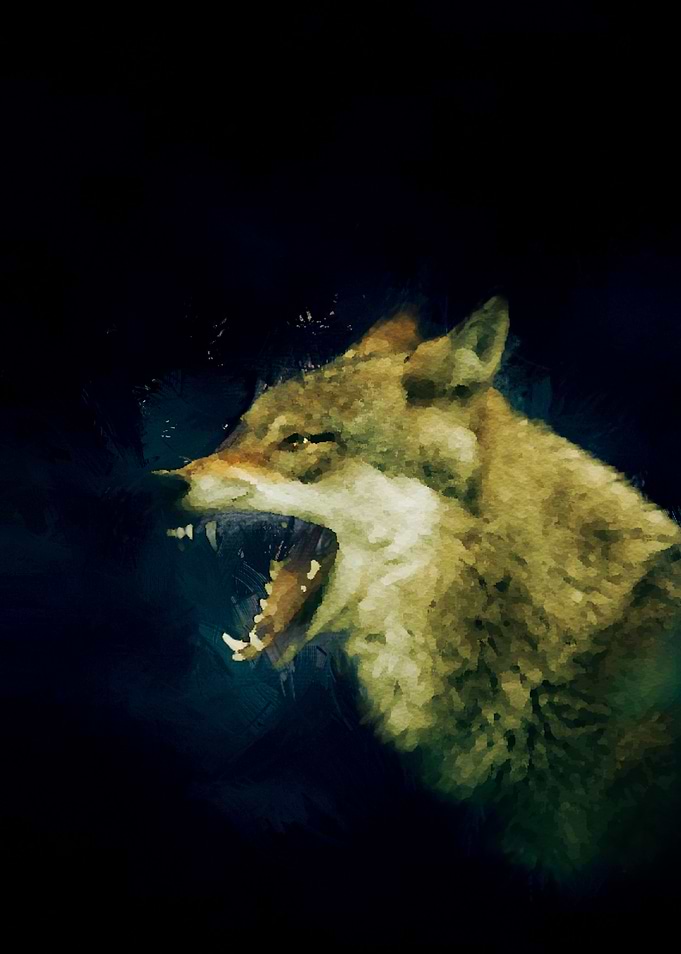 Wolf Portrait