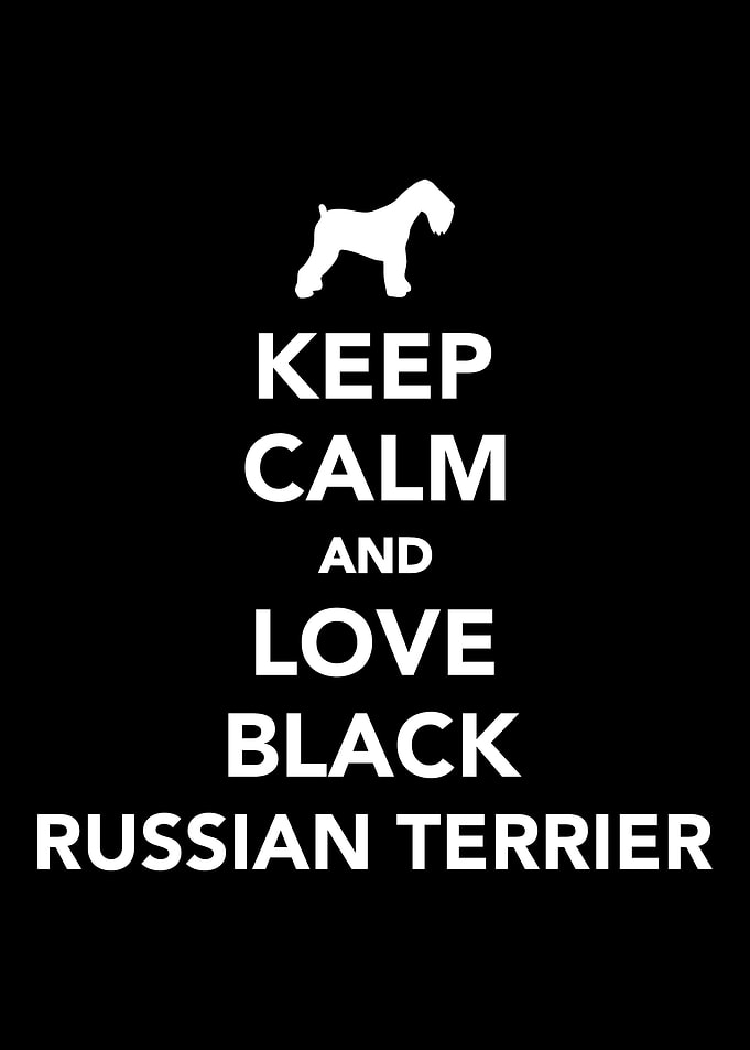 Black Russian Terrier