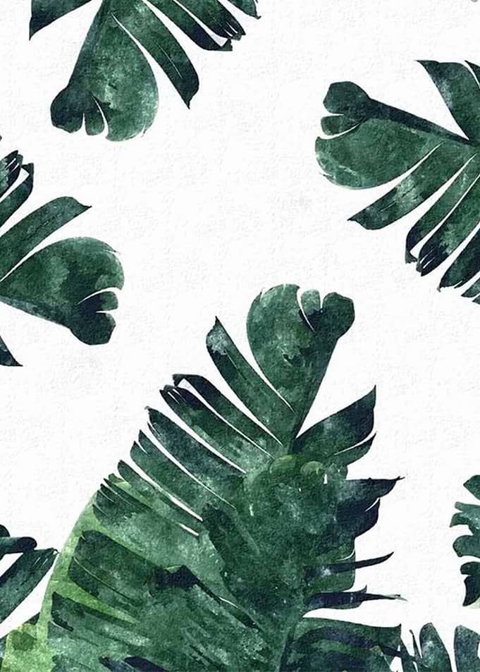 plant leaves 7