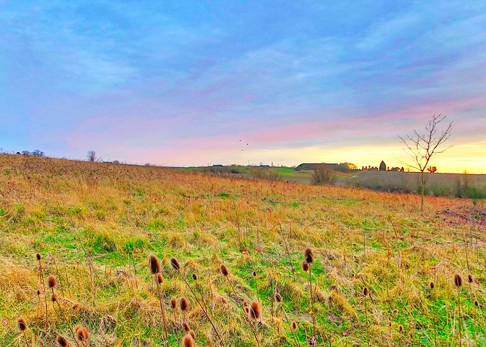 British Countryside