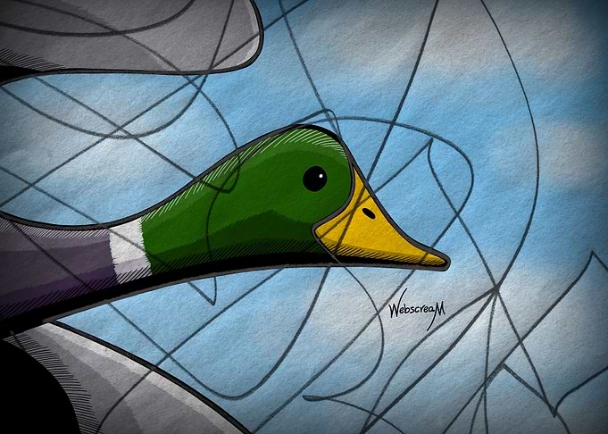 The Wild Duck