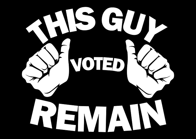 This Guy Voted Remain
