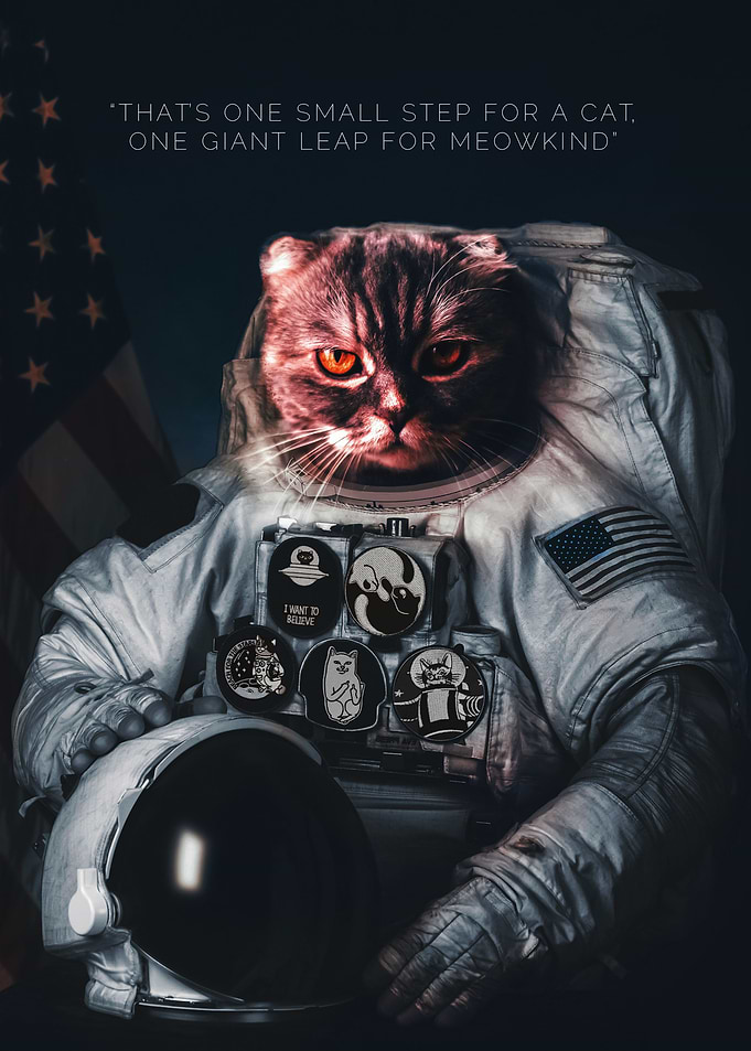 Catastronaut