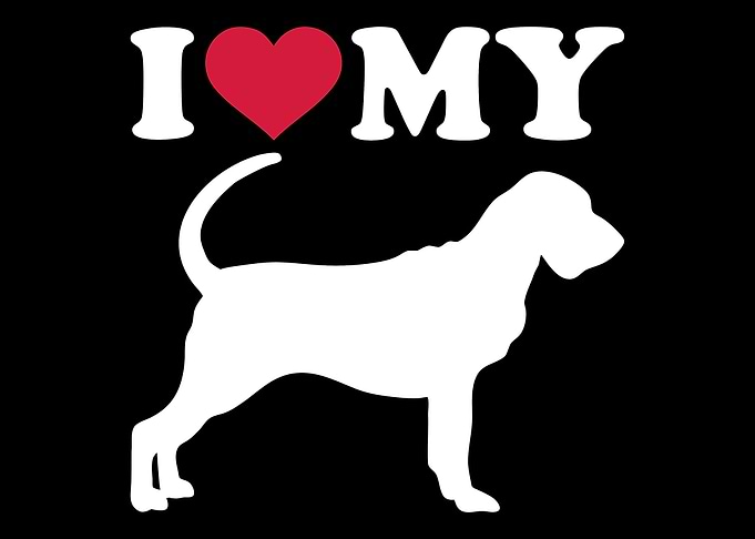 Bloodhound
