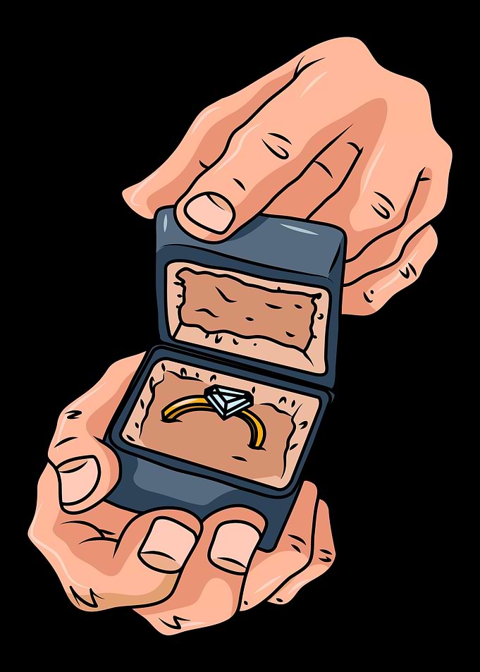 Proposal Fiance