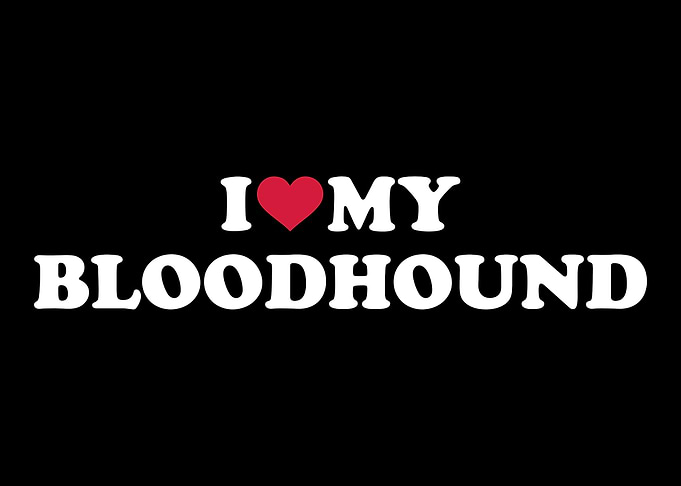 Bloodhound