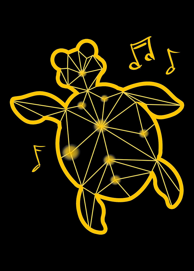Turtle star image