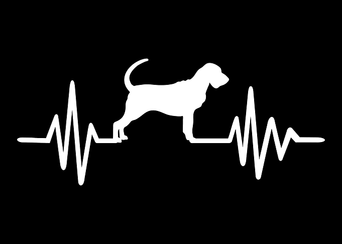 Bloodhound