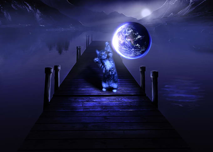 Playing With The World