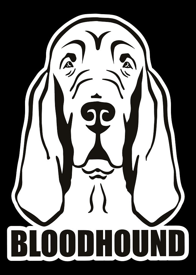 Bloodhound