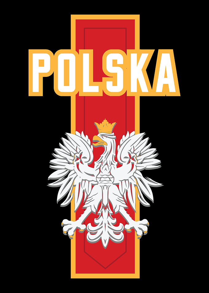 Poland Polska Eagle Flag G