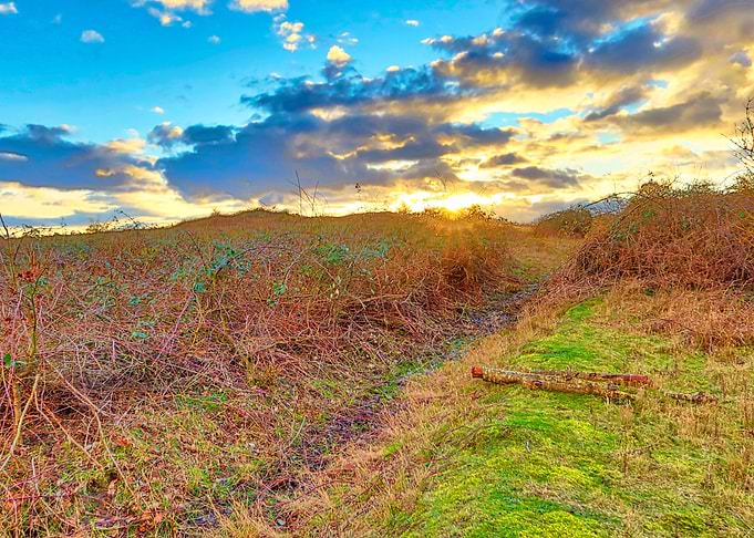 British Countryside