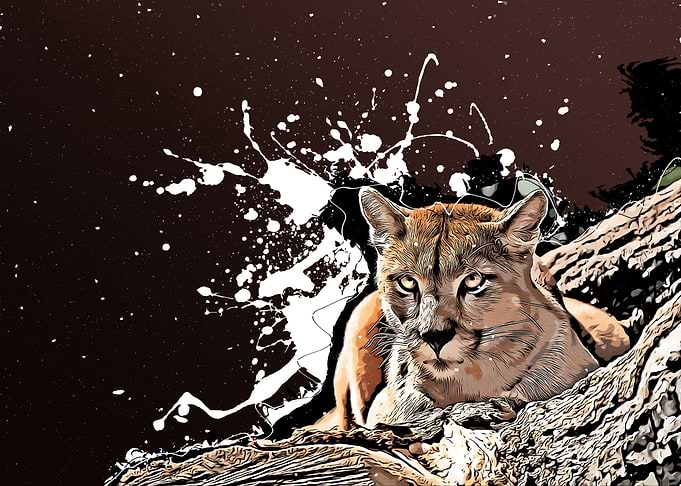 Cougar, The Docile Beast