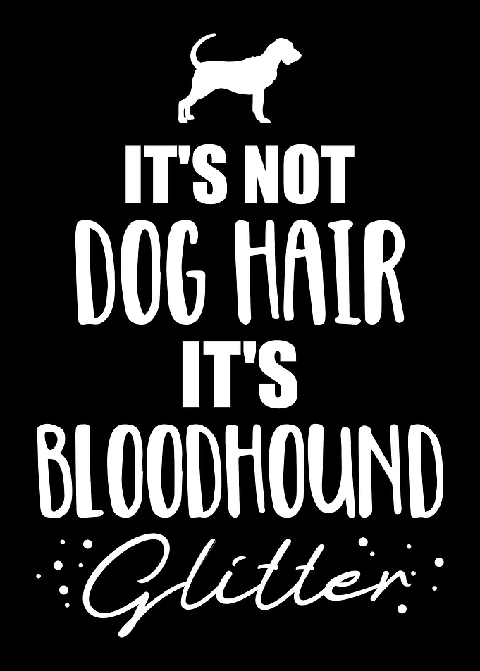 Bloodhound