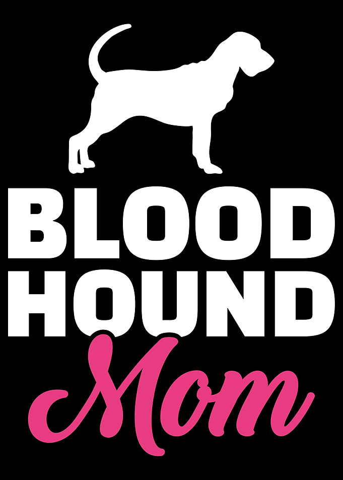 Bloodhound