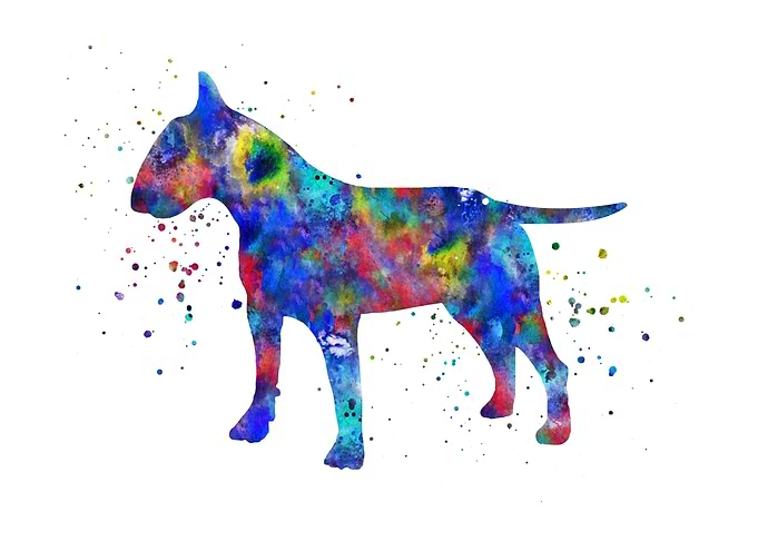 Bull terrier