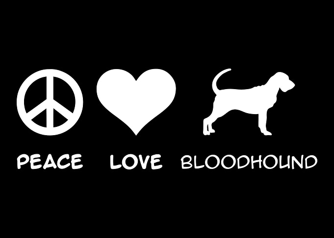 Bloodhound
