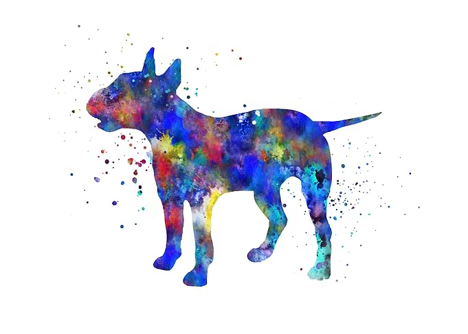 Bull terrier