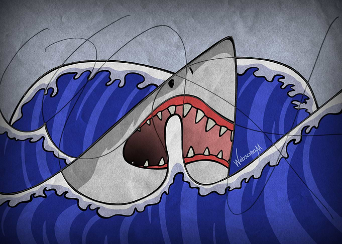 The Shark