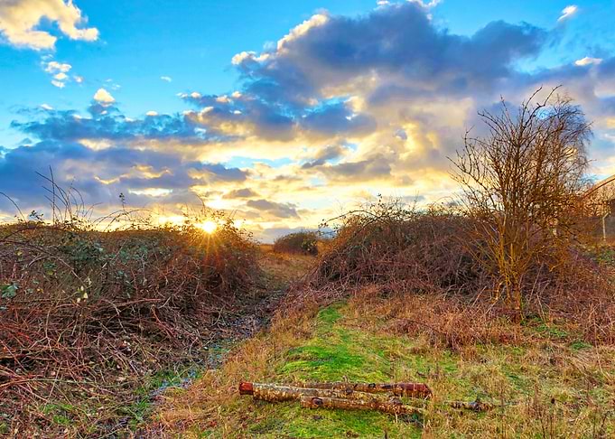 British Countryside
