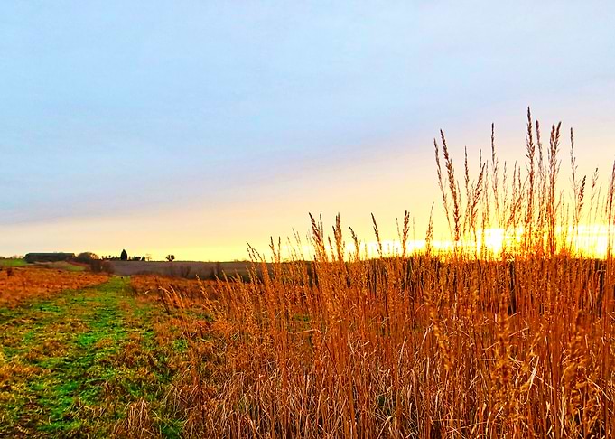 British Countryside