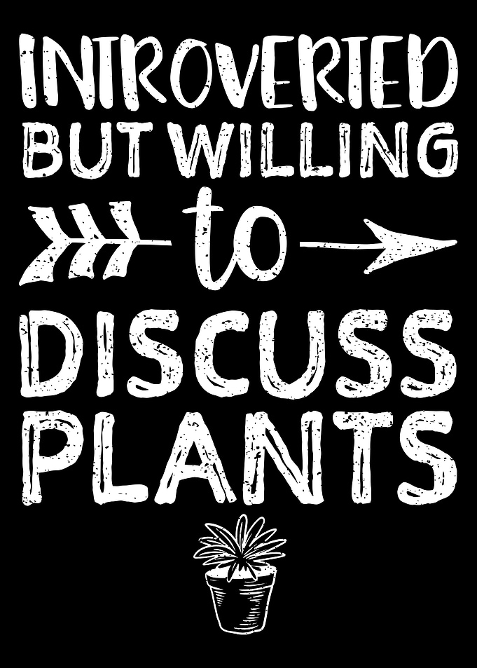 Introverted But Willing To