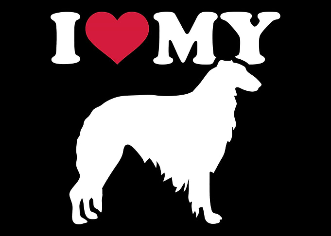 Borzoi