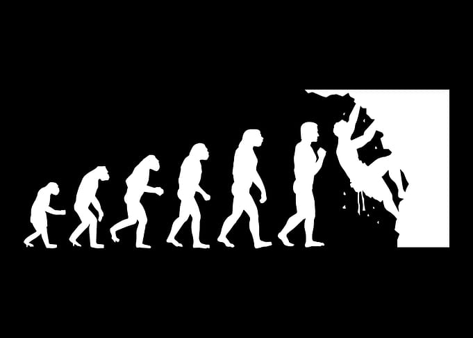 Climping evolution