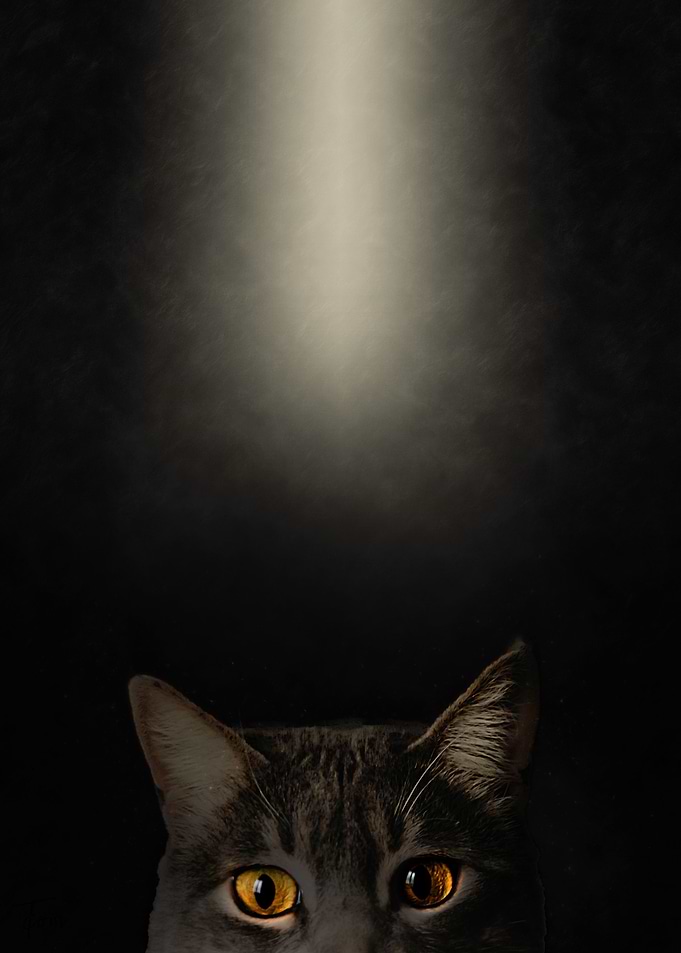 Light