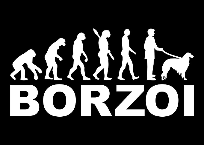 Borzoi