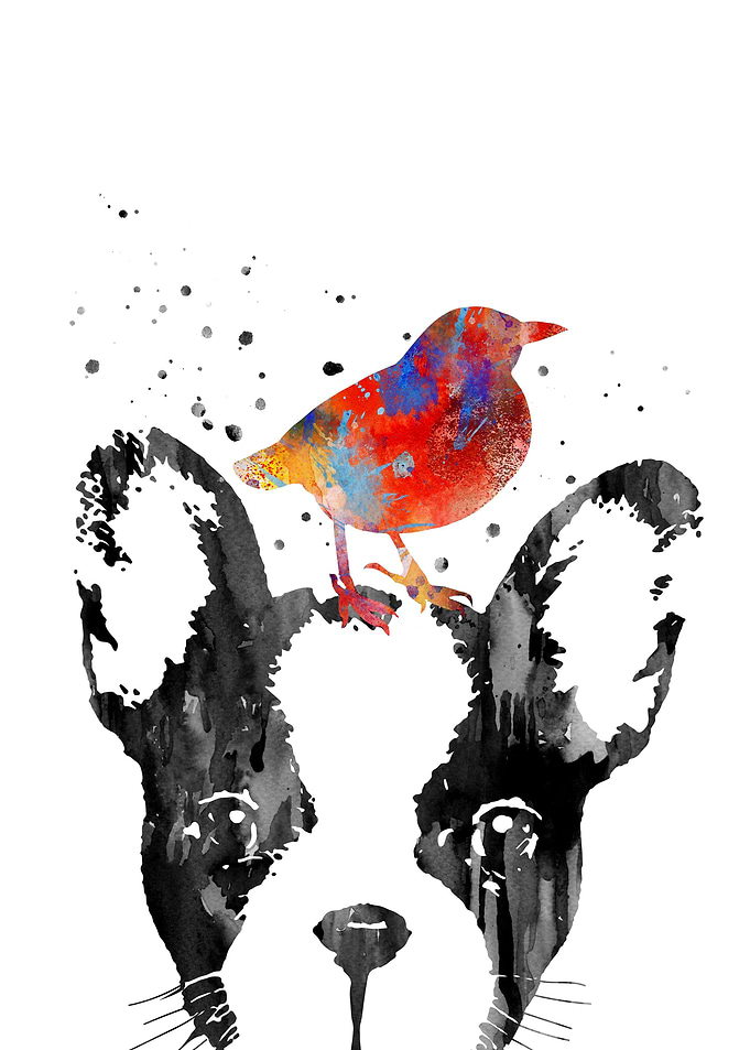 French Bulldog and bird