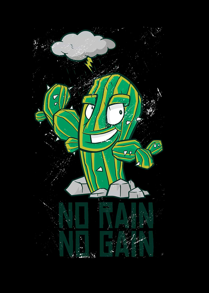 No Rain No Gain