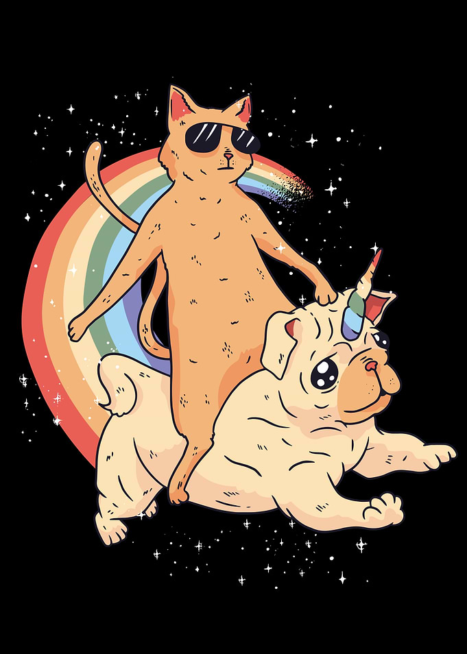 Dog And Cat Space