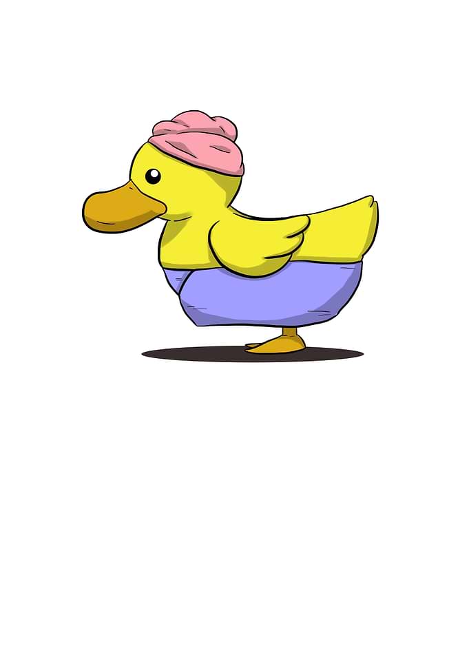 Duck