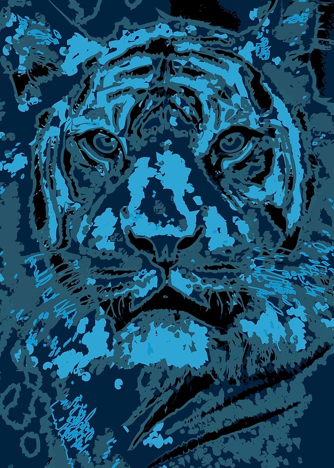 Blue Tiger