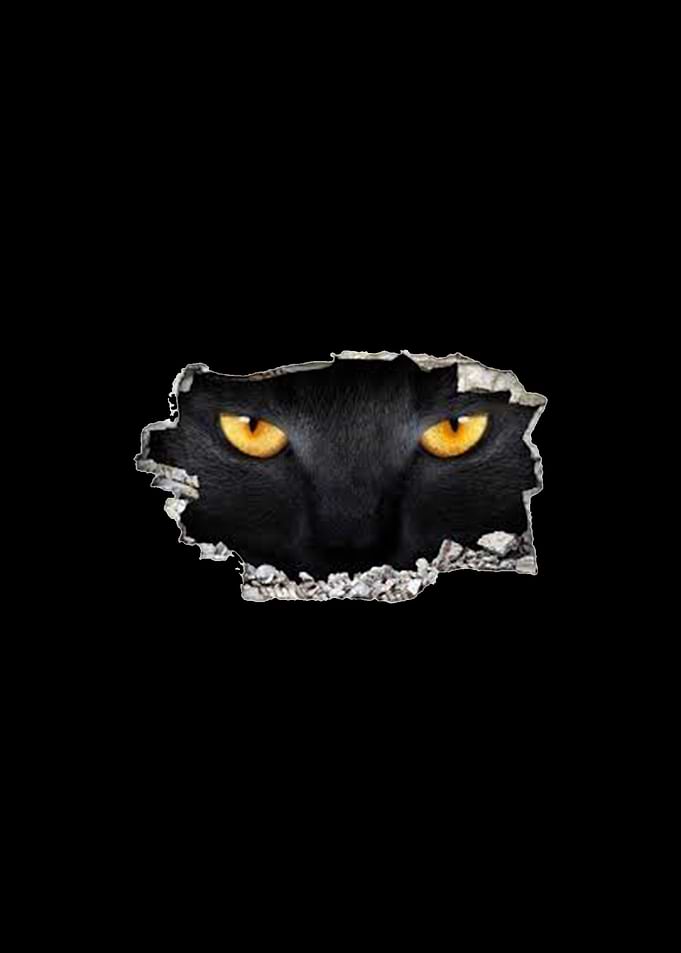 Black cat is watching you
