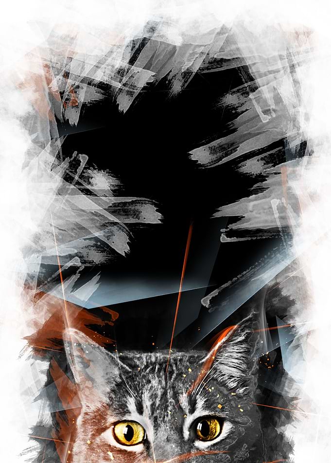 Chaos