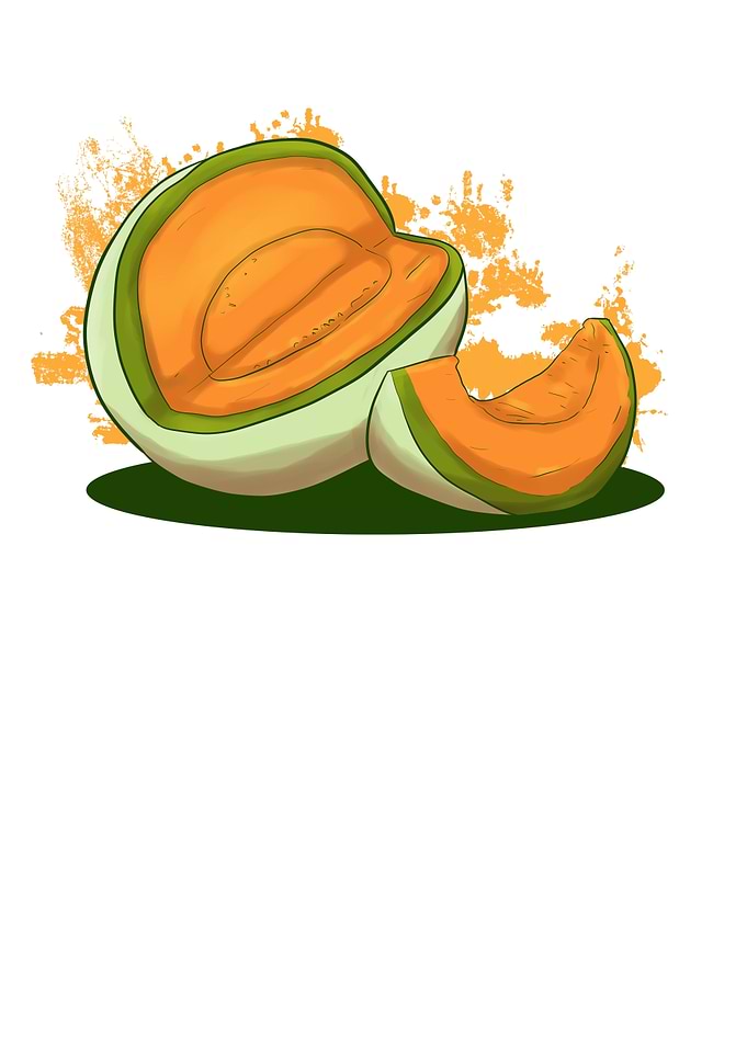 Melon