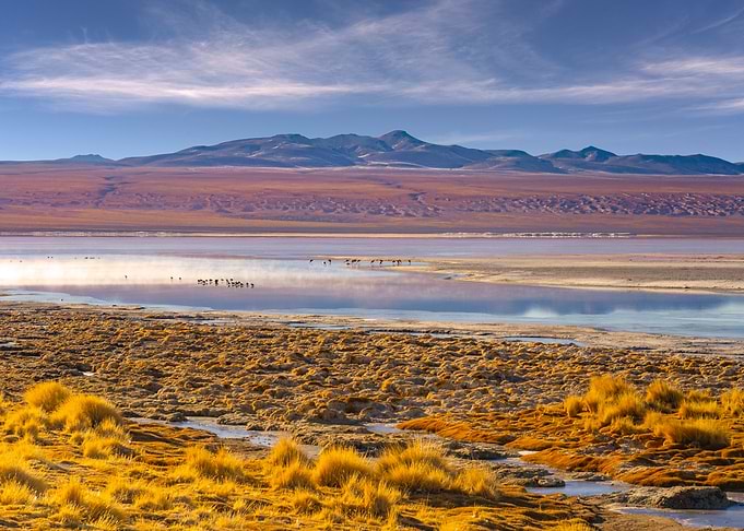 Laguna Colorada
