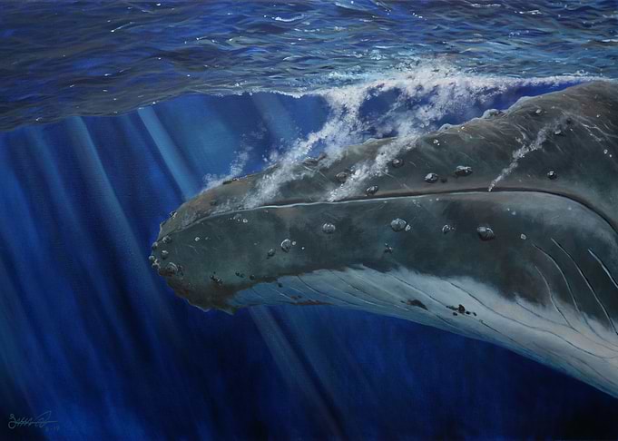 A Humpback Plunge
