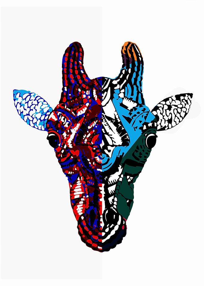 Animal Abstract