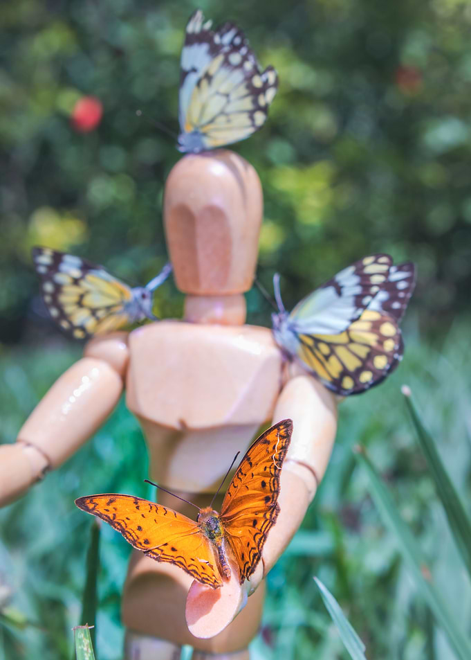 Manikin with butterflies