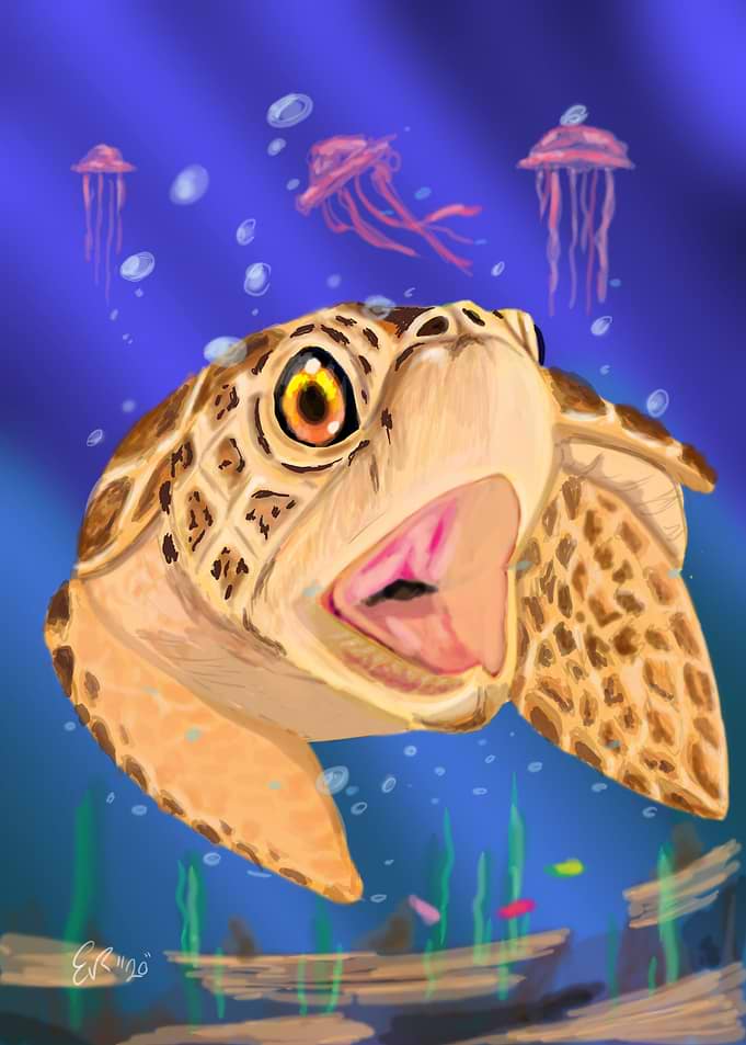 Sea Turtle